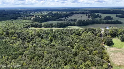 Johns Shiloh Road, Brandon, MS 39042 photo 115