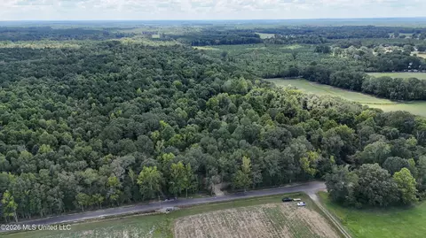 Johns Shiloh Road, Brandon, MS 39042 photo 101