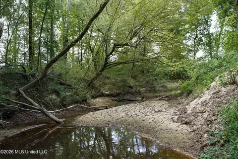 Johns Shiloh Road, Brandon, MS 39042 photo 58