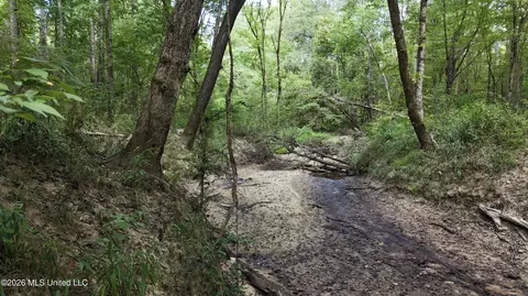 Johns Shiloh Road, Brandon, MS 39042 photo 38