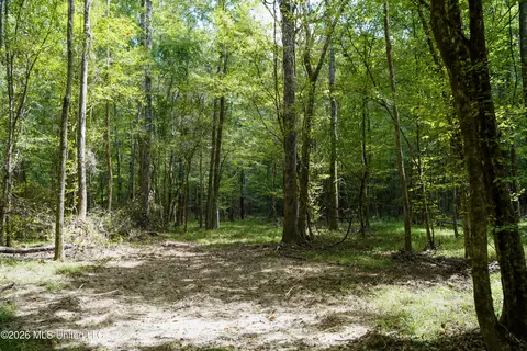 Johns Shiloh Road, Brandon, MS 39042 photo 69