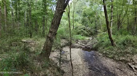 Johns Shiloh Road, Brandon, MS 39042 photo 37