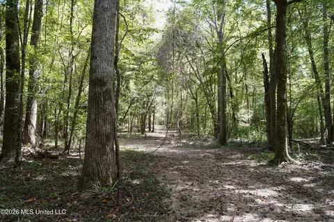 Johns Shiloh Road, Brandon, MS 39042 photo 46