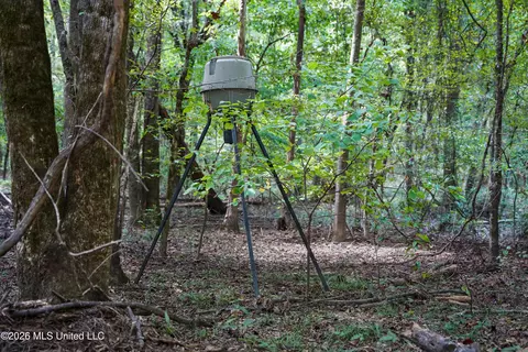 Johns Shiloh Road, Brandon, MS 39042 photo 21