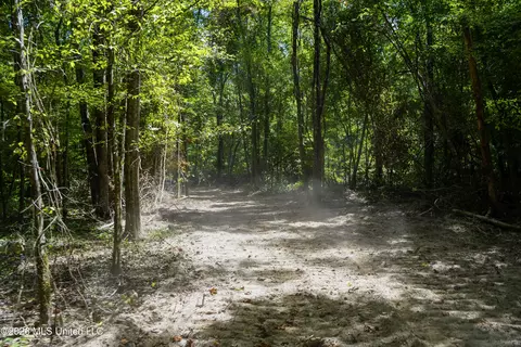 Johns Shiloh Road, Brandon, MS 39042 photo 77