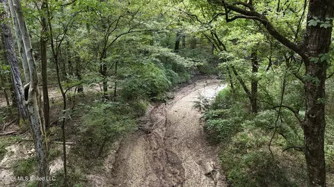 Johns Shiloh Road, Brandon, MS 39042 photo 42