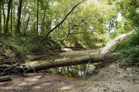 Johns Shiloh Road, Brandon, MS 39042 photo 54