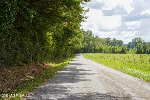 Johns Shiloh Road, Brandon, MS 39042 photo 94
