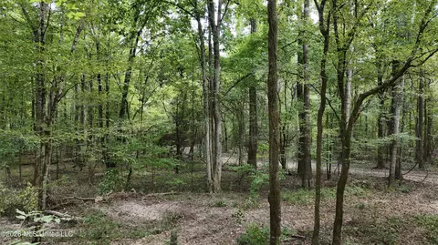 Johns Shiloh Road, Brandon, MS 39042 photo 44
