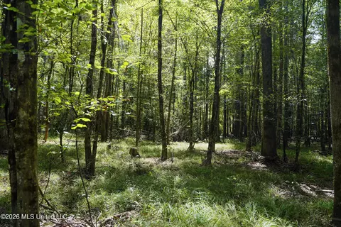 Johns Shiloh Road, Brandon, MS 39042 photo 67