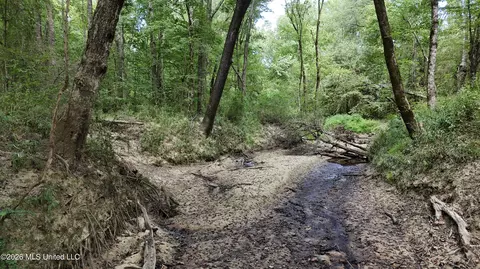 Johns Shiloh Road, Brandon, MS 39042 photo 39