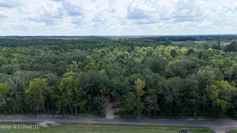 Johns Shiloh Road, Brandon, MS 39042 photo 97