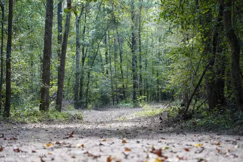 Johns Shiloh Road, Brandon, MS 39042 photo 19