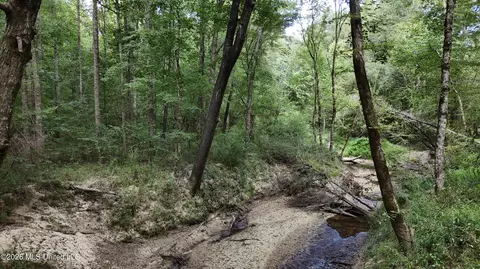 Johns Shiloh Road, Brandon, MS 39042 photo 36