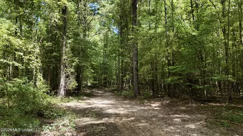 Johns Shiloh Road, Brandon, MS 39042 photo 32