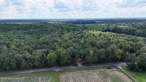 Johns Shiloh Road, Brandon, MS 39042 photo 99