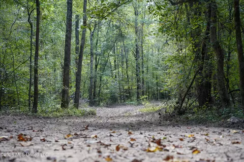 Johns Shiloh Road, Brandon, MS 39042 photo 18