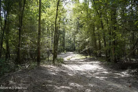 Johns Shiloh Road, Brandon, MS 39042 photo 12