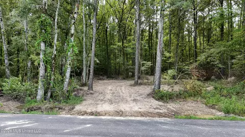 Johns Shiloh Road, Brandon, MS 39042 photo 117