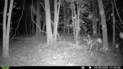 Johns Shiloh Road, Brandon, MS 39042 photo 120