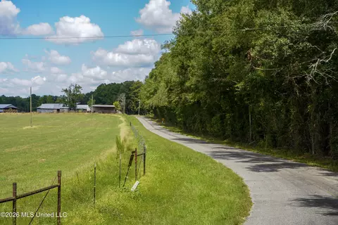 Johns Shiloh Road, Brandon, MS 39042 photo 92