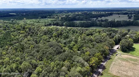 Johns Shiloh Road, Brandon, MS 39042 photo 113