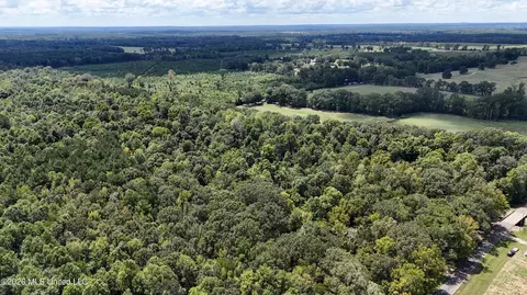 Johns Shiloh Road, Brandon, MS 39042 photo 114