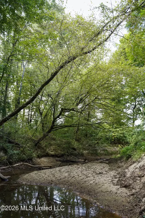 Johns Shiloh Road, Brandon, MS 39042 photo 57