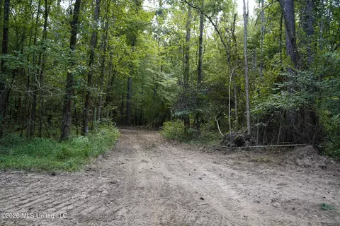 Johns Shiloh Road, Brandon, MS 39042 photo 72