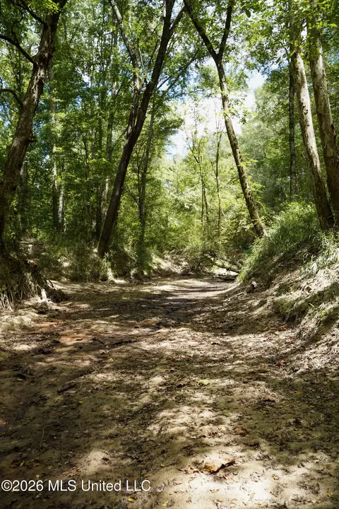 Johns Shiloh Road, Brandon, MS 39042 photo 53