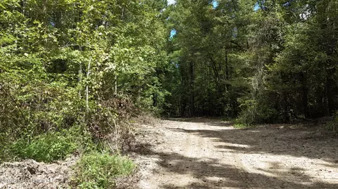 Johns Shiloh Road, Brandon, MS 39042 photo 30