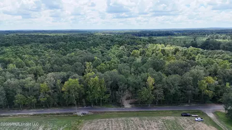 Johns Shiloh Road, Brandon, MS 39042 photo 98