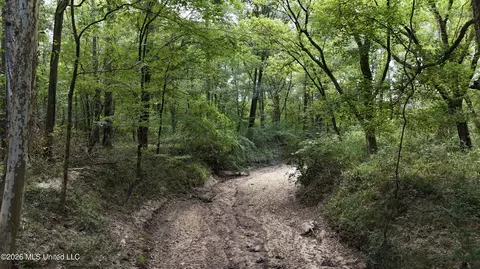 Johns Shiloh Road, Brandon, MS 39042 photo 40