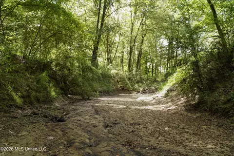 Johns Shiloh Road, Brandon, MS 39042 photo 52