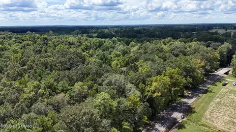 Johns Shiloh Road, Brandon, MS 39042 photo 111