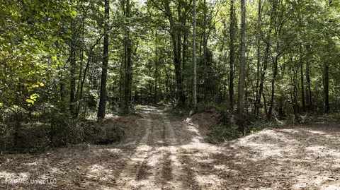 Johns Shiloh Road, Brandon, MS 39042 photo 2