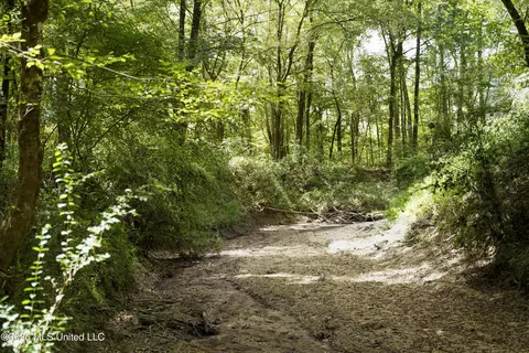 Johns Shiloh Road, Brandon, MS 39042 photo 50