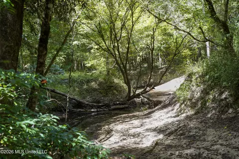 Johns Shiloh Road, Brandon, MS 39042 photo 82
