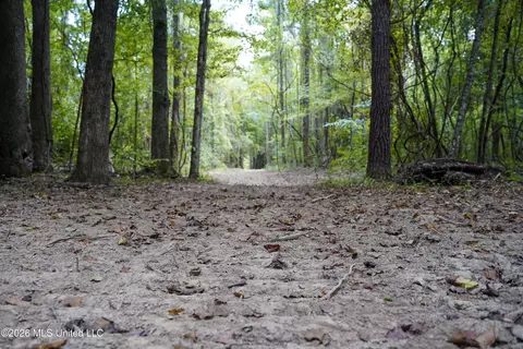 Johns Shiloh Road, Brandon, MS 39042 photo 63