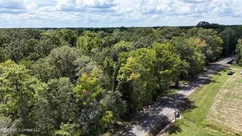 Johns Shiloh Road, Brandon, MS 39042 photo 110