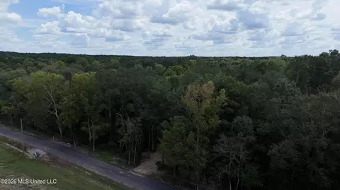 Johns Shiloh Road, Brandon, MS 39042 photo 95