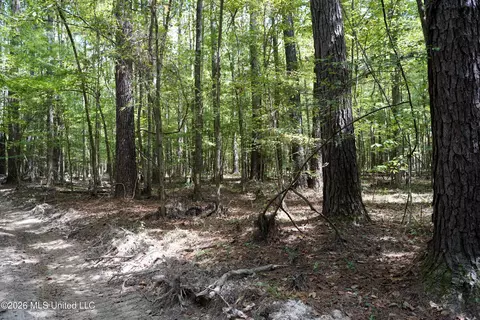Johns Shiloh Road, Brandon, MS 39042 photo 9