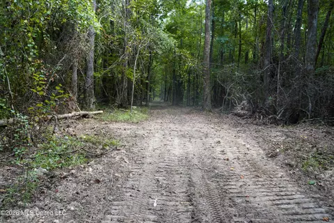 Johns Shiloh Road, Brandon, MS 39042 photo 71