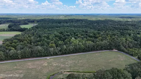 Johns Shiloh Road, Brandon, MS 39042 photo 109