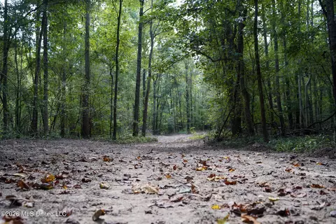 Johns Shiloh Road, Brandon, MS 39042 photo 17