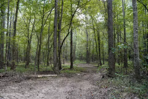 Johns Shiloh Road, Brandon, MS 39042 photo 70