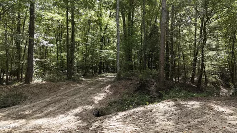 Johns Shiloh Road, Brandon, MS 39042 photo 5