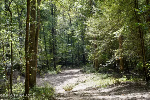 Johns Shiloh Road, Brandon, MS 39042 photo 14