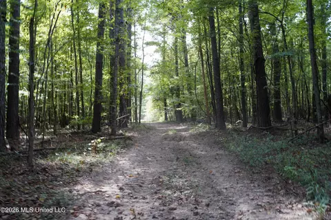 Johns Shiloh Road, Brandon, MS 39042 photo 74