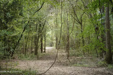 Johns Shiloh Road, Brandon, MS 39042 photo 60